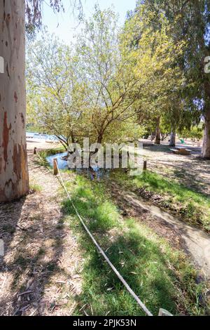 La rivière Yarkon coule entre les eucalyptus de la réserve naturelle de tel Afek dans le bloc Dan - Israël Banque D'Images