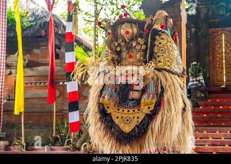 Bali, Indonésie, 14 février.2023: Gros plan de la tête d'un barong - un lion mythologique - à une danse balinaise traditionnelle à Ubud. Banque D'Images