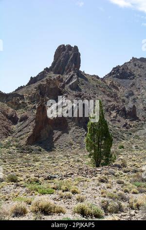 Des rochers gigantesques dans le paysage volcanique du parc national d'El Teide, sur l'île des Canaries de Ténérife, en Espagne Banque D'Images