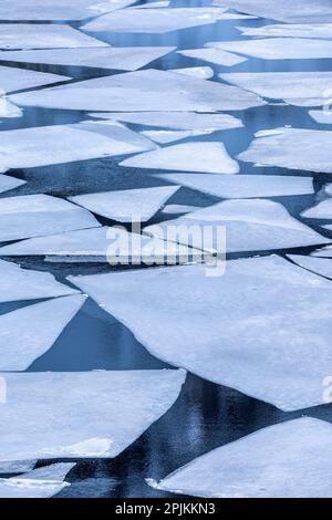 Norvège, îles Lofoten. Glace cassée sur le lac Storvatent Banque D'Images