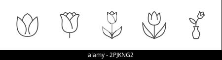 Ensemble d'icônes de type tulipe à lignes plates. Illustration vectorielle de la fleur. Signe linéaire fin de couleur noire pour l'usine de printemps Illustration de Vecteur