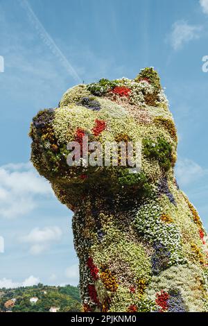 Bilbao, Espagne - septembre 2022 : gros plan de Puppy, la sculpture florale pour chiens conçue par Jeff Koons, en face du musée Guggenheim de Bilbao, Espagne Banque D'Images