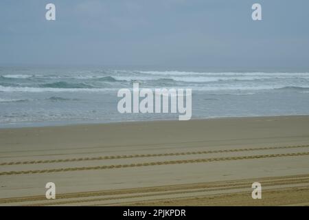 Pneus, Oceano Dunes, Californie, États-Unis Banque D'Images