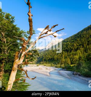 Karwendel montagnes près de Eng Alpe dans la vallée de la crique de Rissbach au Tyrol, Autriche Banque D'Images