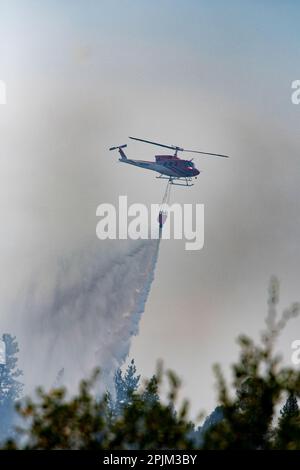 L'hélicoptère dépose de l'eau sur un feu de forêt dans les contreforts de la Sierra Nevada. Banque D'Images