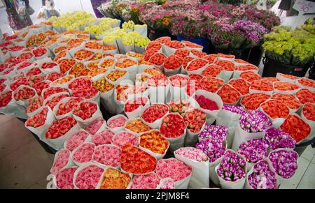 D'innombrables bouquets colorés et de nombreux arrangements floraux dans le marché aux fleurs de Bangkok Thaïlande une grande attraction touristique.fleurs exotiques de toutes les couleurs Banque D'Images