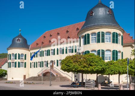 Château de Bergzabern à la place Karoline de la Duchesse, Bad Bergzabern, Palatinat, Rhénanie-Palatinat, Allemagne, Europe Banque D'Images