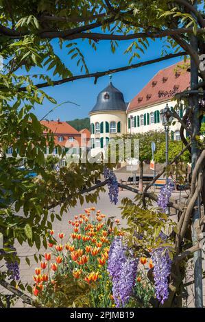 Château de Bergzabern à la place Karoline de la Duchesse, Bad Bergzabern, Palatinat, Rhénanie-Palatinat, Allemagne, Europe Banque D'Images