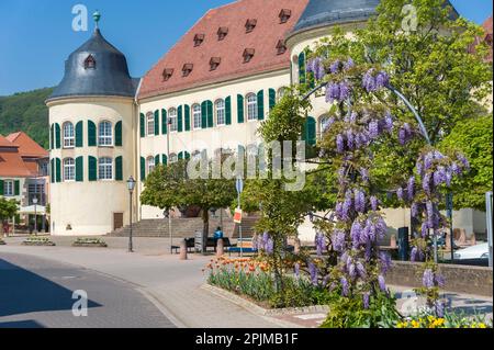 Château de Bergzabern à la place Karoline de la Duchesse, Bad Bergzabern, Palatinat, Rhénanie-Palatinat, Allemagne, Europe Banque D'Images