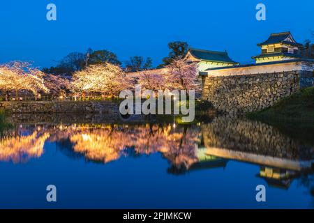 Château de Fukuoka avec fleur de cerisier à Fukuoka, Kyushu, Japon Banque D'Images