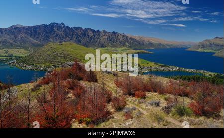 C'est Queenstown Hill qui surplombe Queenstown en Nouvelle-Zélande. C'est à environ trois heures de marche jusqu'au sommet avec une vue fantastique sur le lac Wakatipu. Banque D'Images