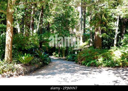 Royal Botanic Gardens, Melbourne, Australie Banque D'Images