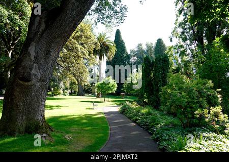 St David's Park, Hobart, Tasmanie Banque D'Images