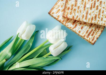 Tulipes matzo et blanches sur fond bleu. Vacances religieuses juives Pesach. Concept de la Pâque heureuse. Banque D'Images