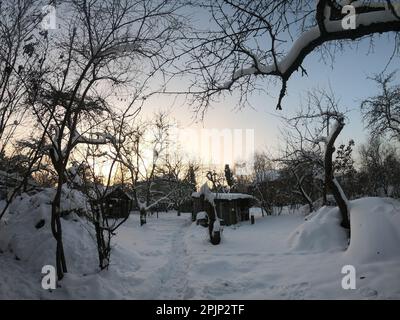 Une scène d'hiver pittoresque avec un sentier couvert de neige qui serpente à travers une zone boisée Banque D'Images