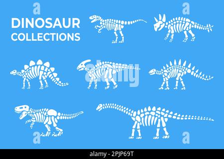 Squelettes de dinosaures. Triceratops, Tyrannosaurus, Kentrosaurus, Brahiosaurus, Velociraptor, Stegosaurus, Parasaurolophus. Paléontologie et archéologie. Illustration de Vecteur