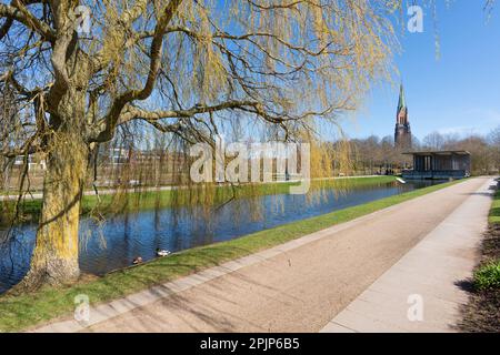 Jardins Punblic Koenigswesen avec cathédrale, ville du Schleswig sur le fjord de Schlei, Schleswig-Holstein, Allemagne du Nord, Europe centrale Banque D'Images