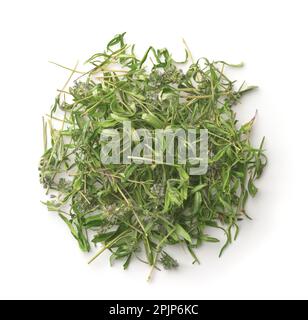 Vue de dessus du thym sauvage séché isolé sur blanc Banque D'Images