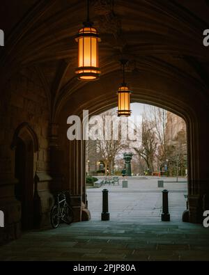 Arch à East Pyne Hall, Princeton University, Princeton, New Jersey Banque D'Images