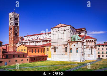 Lucca, Italie. Vue sur la célèbre tour de la cathédrale Saint-Martin en arrière-plan, carte postale de la Toscane. Banque D'Images
