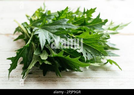 Feuilles fraîches de Mizuna (Brassica rapa var. Niposinica). Banque D'Images