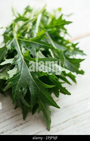 Feuilles fraîches de Mizuna (Brassica rapa var. Niposinica). Banque D'Images