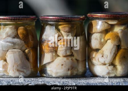 Champignons porcini en conserve dans un pot en verre à vendre sur le marché local, Ukraine occidentale. Champignons blancs marinés en conserve, gros plan Banque D'Images