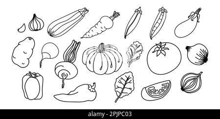 Contours de légumes dessinés à la main, parfaits pour colorer des pages dans des livres pour enfants ou du matériel éducatif. L'ensemble d'icônes vectorielles ajoute de la polyvalence et de la c Illustration de Vecteur