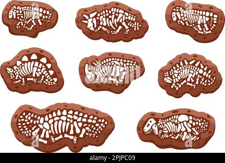 Squelettes fossiles de dinosaures. Triceratops, Tyrannosaurus, Kentrosaurus, Brahiosaurus, Velociraptor, Stegosaurus, Parasaurolophus. Paléontologie Illustration de Vecteur