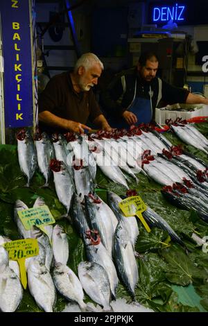 Poissons et fruits de mer frais entiers à vendre parmi les pêcheurs au marché de poissons de Galata à Karakoy, côté européen d'Istanbul, Turquie / Turkiye. Banque D'Images