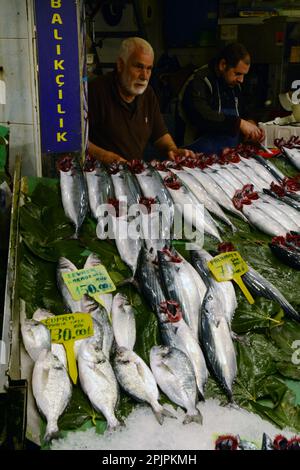 Poissons et fruits de mer frais entiers à vendre parmi les pêcheurs au marché de poissons de Galata à Karakoy, côté européen d'Istanbul, Turquie / Turkiye. Banque D'Images