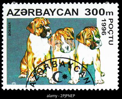 MOSCOU, RUSSIE - 26 MARS 2023: Timbre-poste imprimé en Azerbaïdjan montre la caleçons allemande (Canis lupus familiaris), série de chiens, vers 1996 Banque D'Images