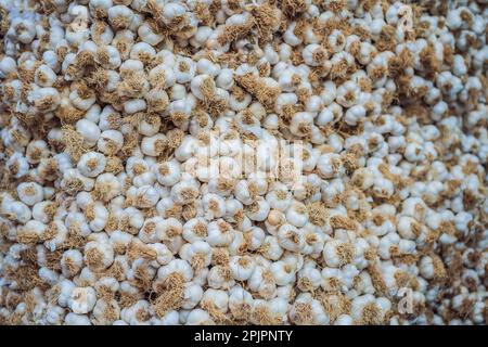 Texture de la pile d'ail blanc. Photo de clôture de la table de l'ail frais sur le marché. Vitamine saine alimentation image d'épices. Image des ingrédients de la cuisine épicée. Pile de Banque D'Images