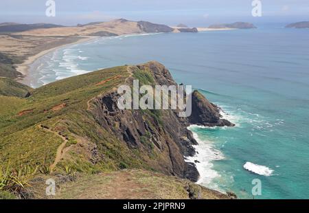 Sentier sur la falaise du Cap Reinga - Nouvelle-Zélande Banque D'Images