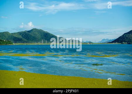 Le paysage et la nature au barrage de Pran Buri ou Mae Nam Pran Buri près de la ville de Pranburi près de la ville de Hua Hin dans la province de Prachuap Khir Banque D'Images