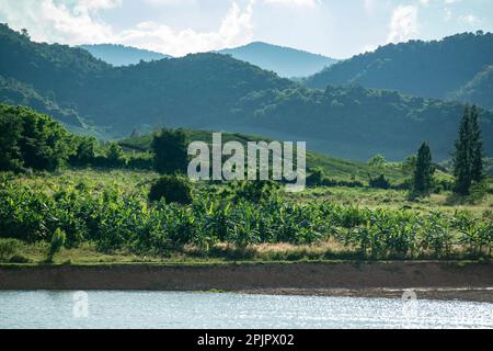 Le paysage et la nature au barrage de Pran Buri ou Mae Nam Pran Buri près de la ville de Pranburi près de la ville de Hua Hin dans la province de Prachuap Khir Banque D'Images