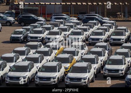 Eilat, israël - 25 novembre 2022: Grand angle de beaucoup de voitures modernes blanches identiques garées sur la route asphaltée dans l'usine industrielle pour la vente en Israël Banque D'Images