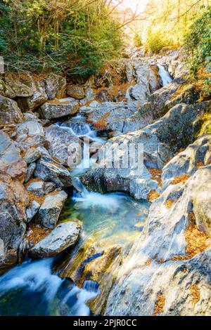 Cours d'eau des montagnes Rocheuses dans la forêt nationale de Pisgah, en Caroline du Nord Banque D'Images