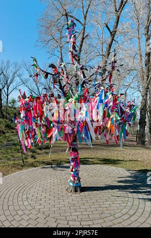 Arbre de souhaits avec rubans colorés à Kiev Ukraine Banque D'Images