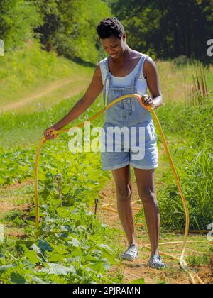 Petite femme africaine aux cheveux courts arroser le jardin potager avec un tuyau en prenant soin des légumes dans la ferme biologique portant des salopettes en denim Banque D'Images