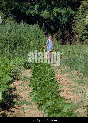 Coupe courte pour les cheveux jeune femme africaine arroser les plantes de potager avec un tuyau prenant soin de la gowth de légumes dans la ferme biologique portant le denim Banque D'Images