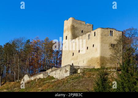 Vue sur les ruines du château de Liebenstein Banque D'Images