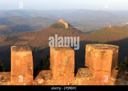 Vue depuis la tour de Rehberg sur le château de Trifels, Annweiler, Forêt du Palatinat, Rhénanie-Palatinat, Allemagne, Vue depuis la tour Rehberg sur le château de Trifels Banque D'Images