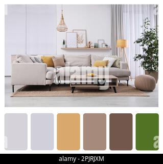 Palette de couleurs et photo de l'intérieur élégant du salon. Collage Banque D'Images