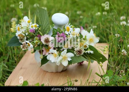 Mortier en céramique avec pilon, différentes fleurs sauvages et herbes sur panneau en bois dans la prairie Banque D'Images