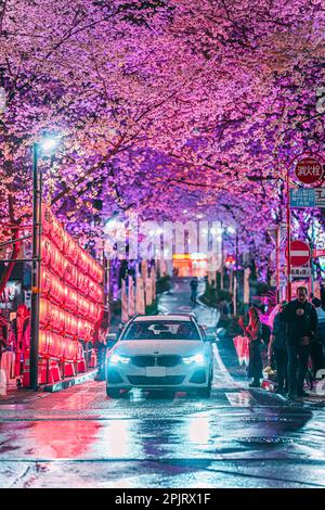 Shibuya Sakuragaoka Sakura Matsuri, rue Sakura - Shibuya, Sakuragaokacho, ville de Shibuya, Tokyo Banque D'Images