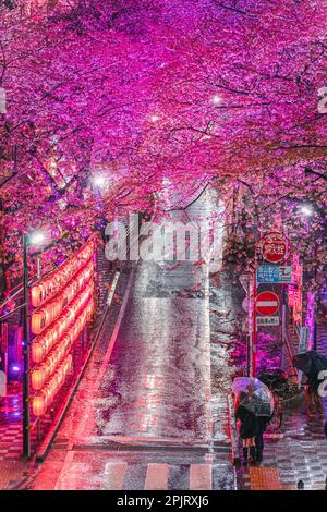 Shibuya Sakuragaoka Sakura Matsuri, rue Sakura - Shibuya, Sakuragaokacho, ville de Shibuya, Tokyo Banque D'Images