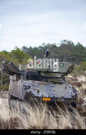 Les soldats danois affectés au bataillon d'artillerie 1st effectuent des opérations de tir en direct à l'aide d'un Piranha V avec le CARDOM 10 (système de mortier de récupération 120mm) pendant l'exercice Dynamic Front 23 à Oksbol, Danemark, 28 mars 2023. L'exercice Dynamic Front 23 est un L'armée européenne et l'Afrique dirigée, 56th le commandement de l'Artillerie dirigé, exercice multinational conçu pour améliorer la capacité des pays alliés et partenaires d'exécuter des feux multi-échelon, et de tester l'interopérabilité des systèmes de feux tactiques et de théâtre dans un environnement vivant. (É.-U. Photo de la Garde nationale de l'Armée par le Sgt. 1st classe Theresa Gualdarama) Banque D'Images