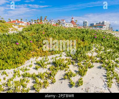 Les dunes de sable de Coronado Beach avec historique Victorian Era Resort Hotel dans le loin, Coronado Island, Californie, États-Unis Banque D'Images