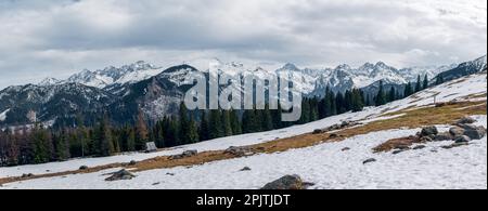 Magnifique Glade de montagne. Début du printemps. Panorama des montagnes enneigées. Rusinowa Polana, montagnes Tatra, Pologne Banque D'Images